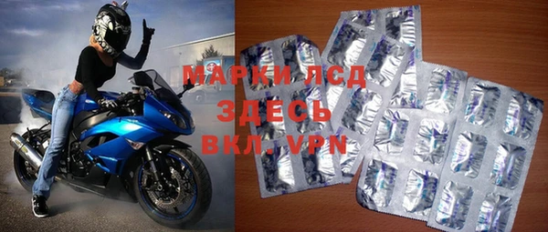 ALPHA PVP Баксан